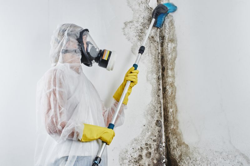Air Duct Mold Removal in Dallas, TX