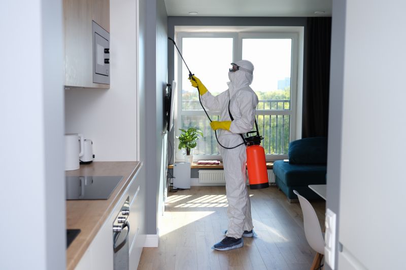Mold Cleanup Service in Jupiter, FL