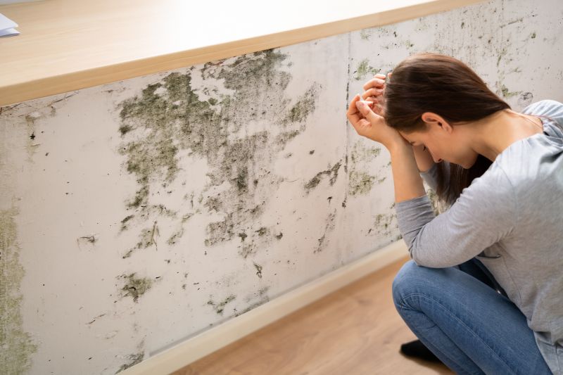 Mold Control in Frisco, TX