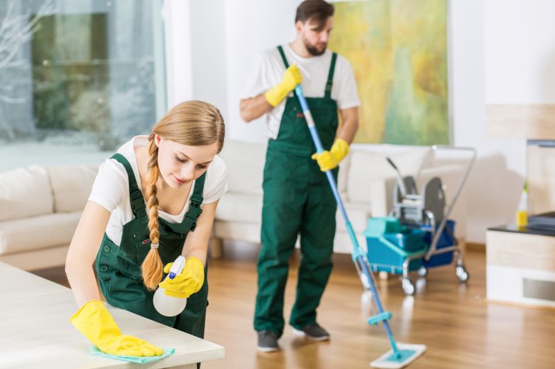 Reo Property Cleaning in Bellevue, WA