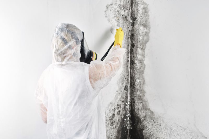 White Mold Mitigation in Boca Raton, FL